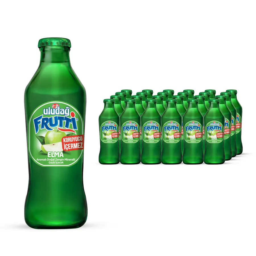 ULUDAĞ FRUTTİ ELMA 200ML 1*24