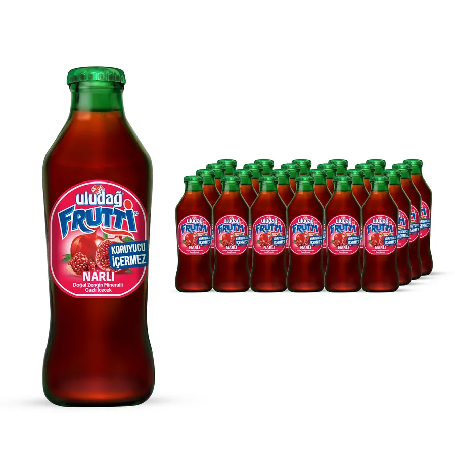 ULUDAĞ FRUTTİ NAR 200ML 1*24