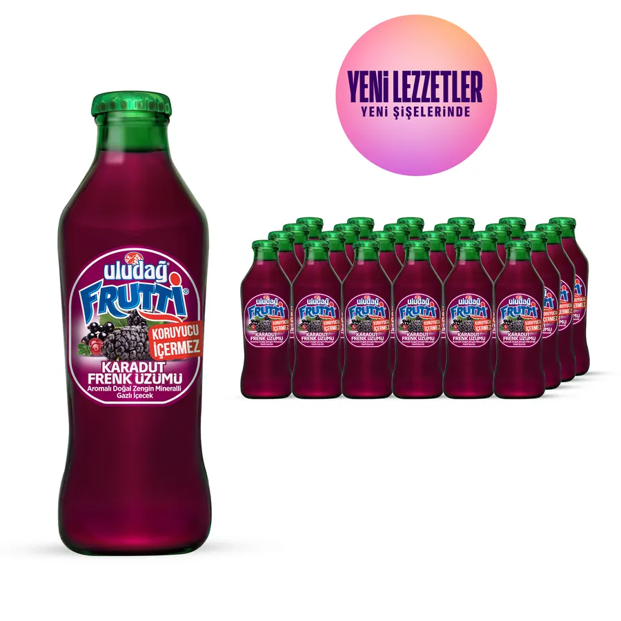 ULUDAĞ FRUTTİ KARADUT 200ML 1*24